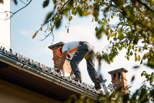 Best Roof Replacement Cost  in New Port Richey, FL
