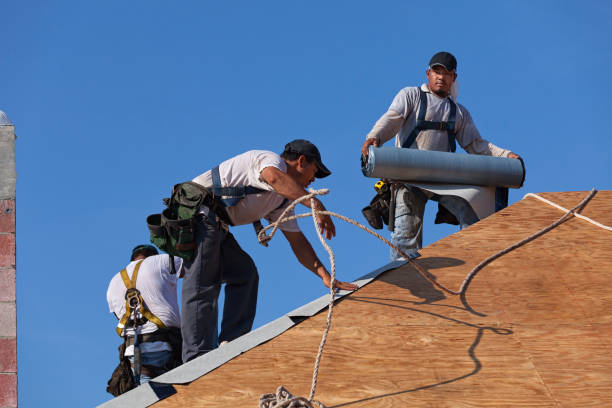 Quick and Trustworthy Emergency Roof Repair Services in New Port Richey, FL