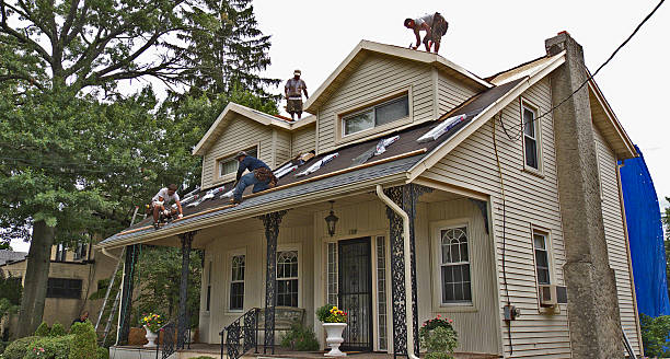 Best Tile Roofing Contractor  in New Port Richey, FL