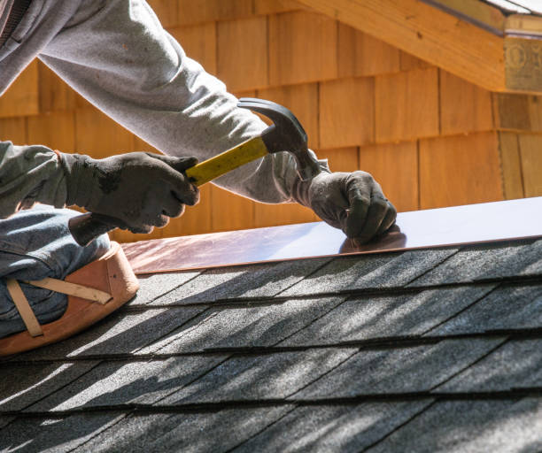 Best Best Roofing Contractors  in New Port Richey, FL